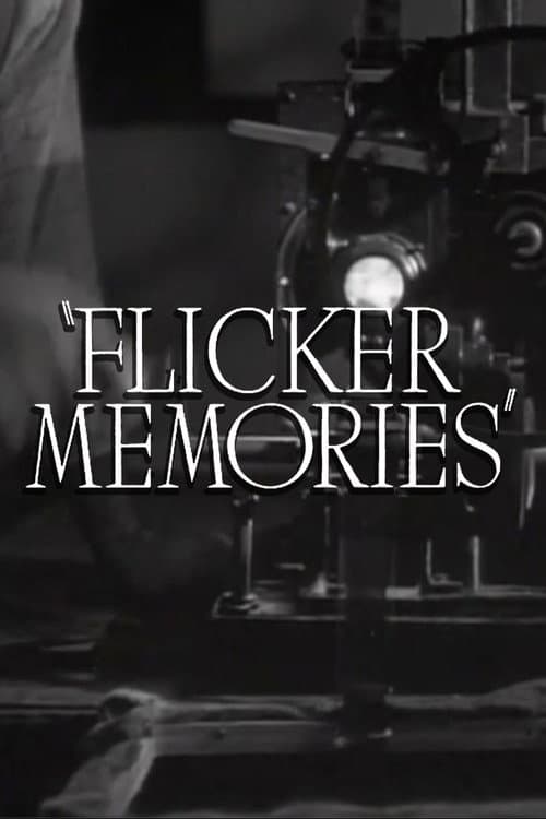 Постер: Flicker Memories
