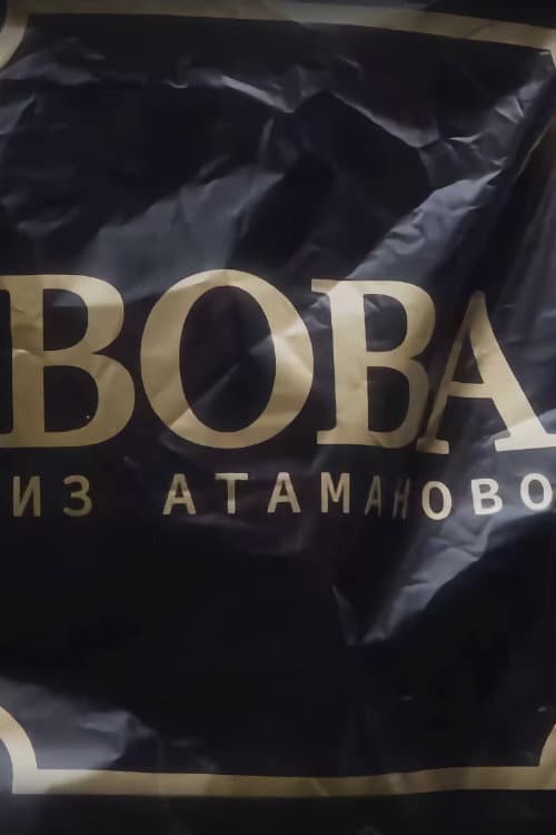 Постер: Вова из Атаманово