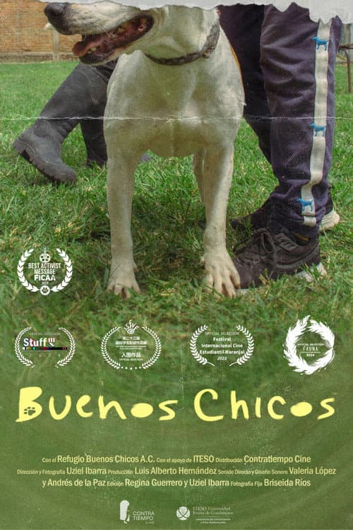 Постер: Buenos Chicos