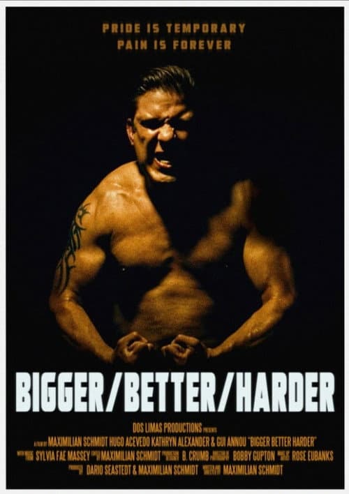 Постер: Bigger/Better/Harder