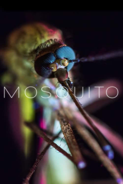 Постер: Mosquito