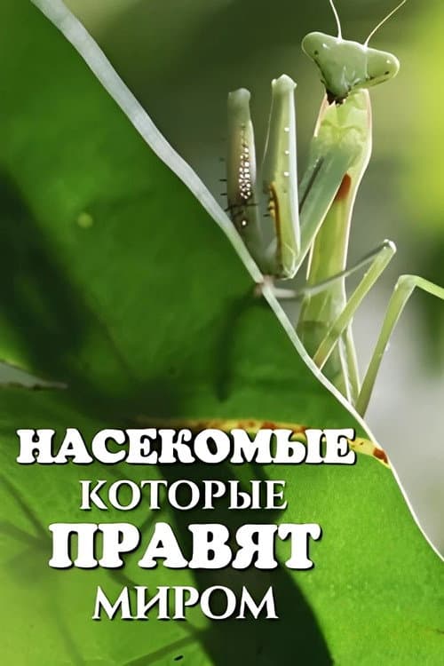 Постер: Bugs That Rule the World