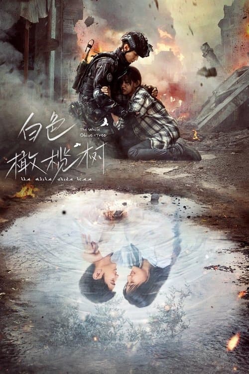 Постер: 白色橄榄树