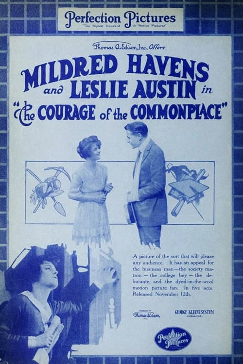 Постер: The Courage of the Commonplace