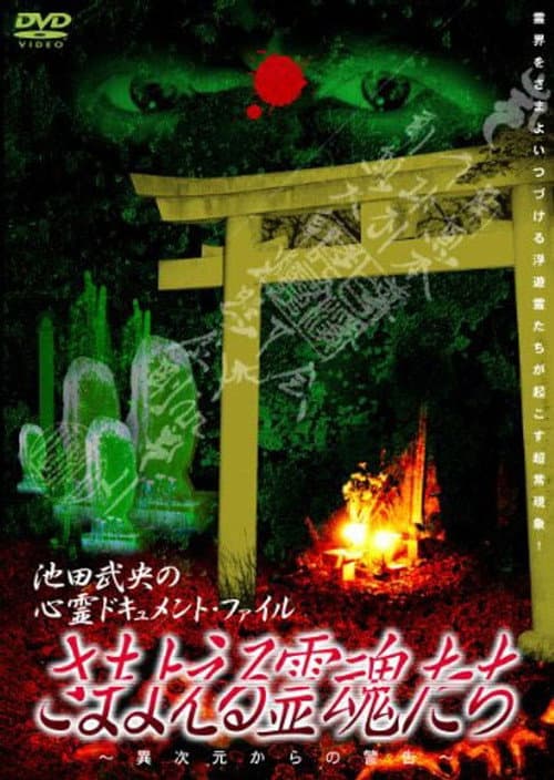 Постер: さまよえる霊魂たち