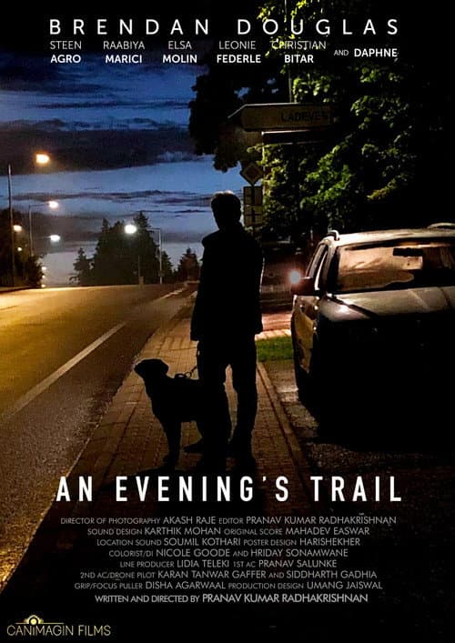 Постер: An Evening's Trail