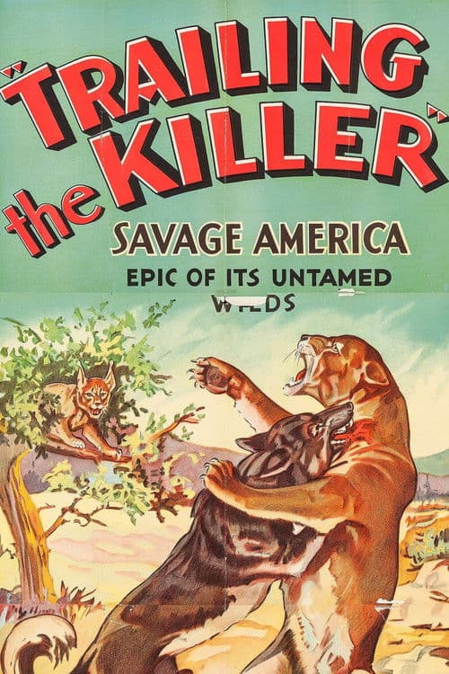 Постер: Trailing the Killer