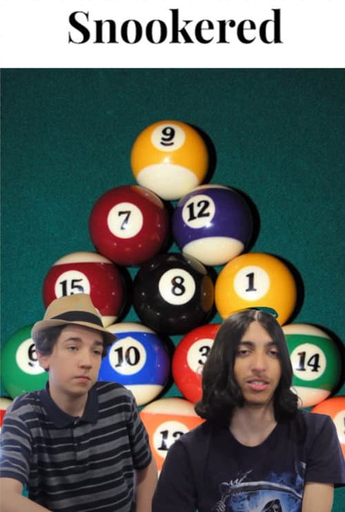 Постер: Snookered