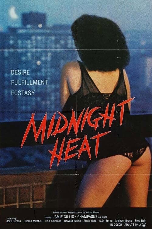 Постер: Midnight Heat