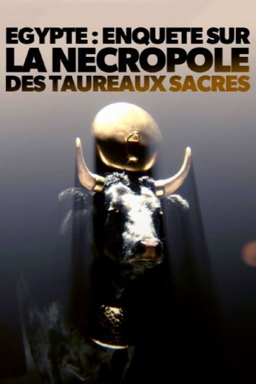 Постер: Égypte - Enquête sur la nécropole des taureaux sacrés