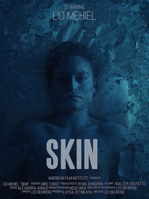 Постер: Skin
