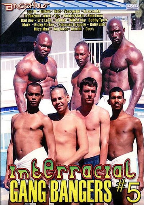 Постер: Interracial Gang Bangers 5