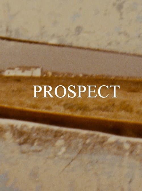 Постер: Prospect