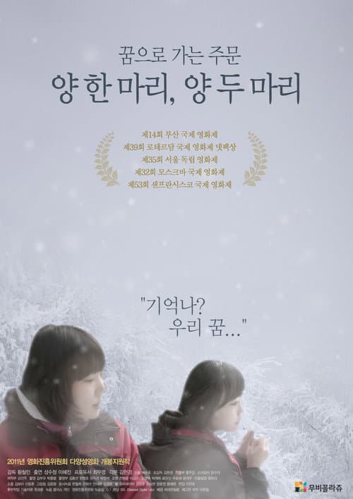 Постер: 양 한 마리, 양 두 마리
