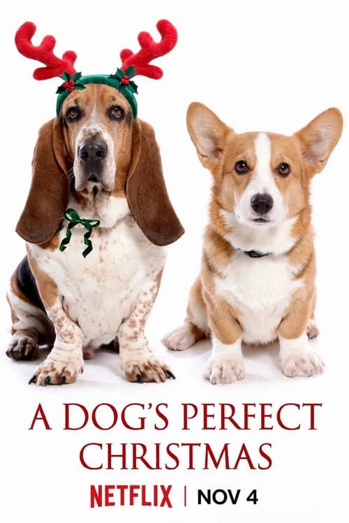 Постер: A Dog's Perfect Christmas