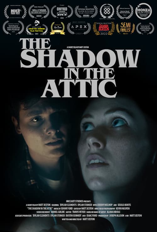 Постер: The Shadow in the Attic
