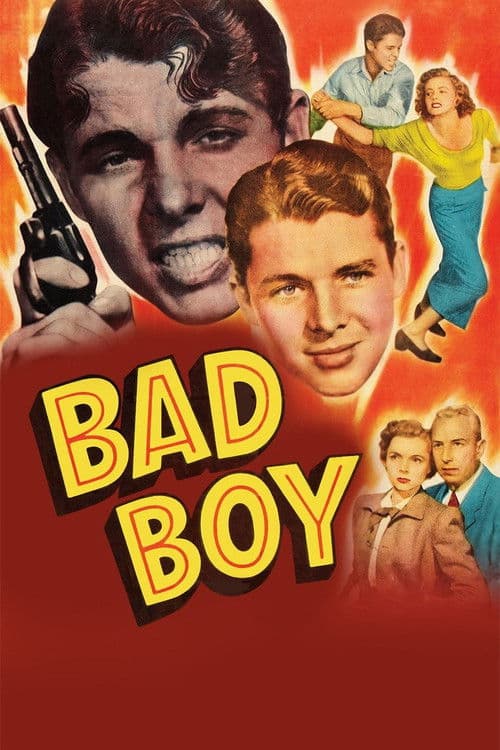 Постер: Bad Boy