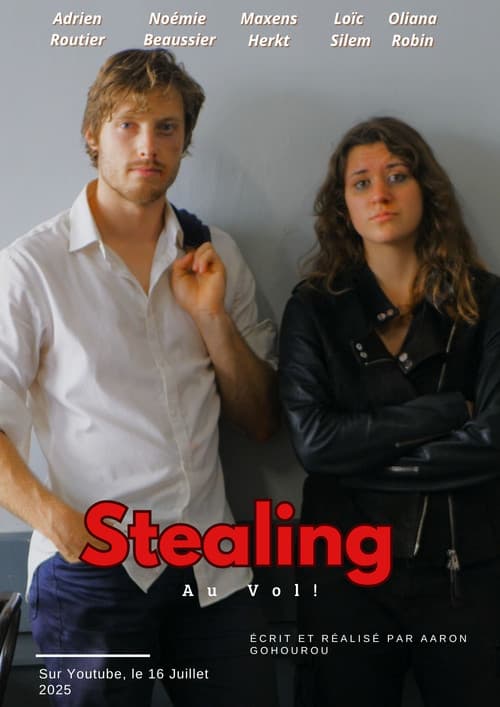 Постер: Stealing Au Vol