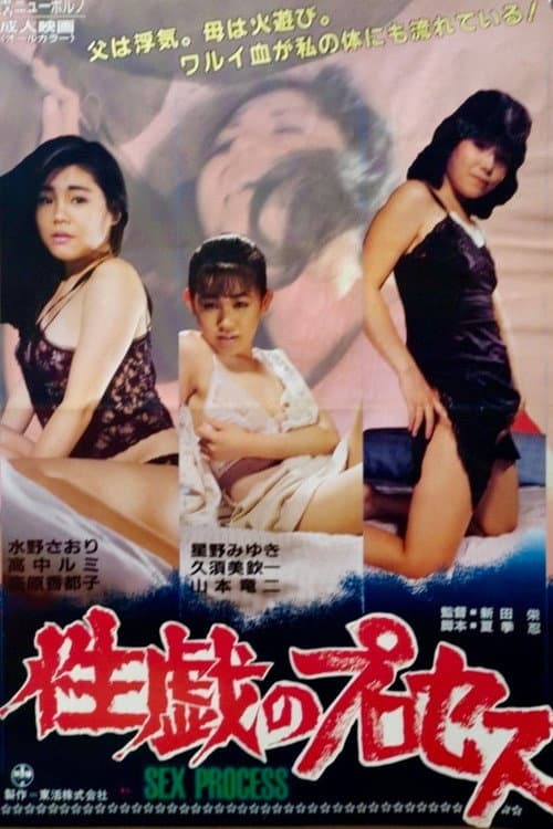 Постер: 性戯のプロセス