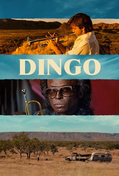 Постер: Динго
