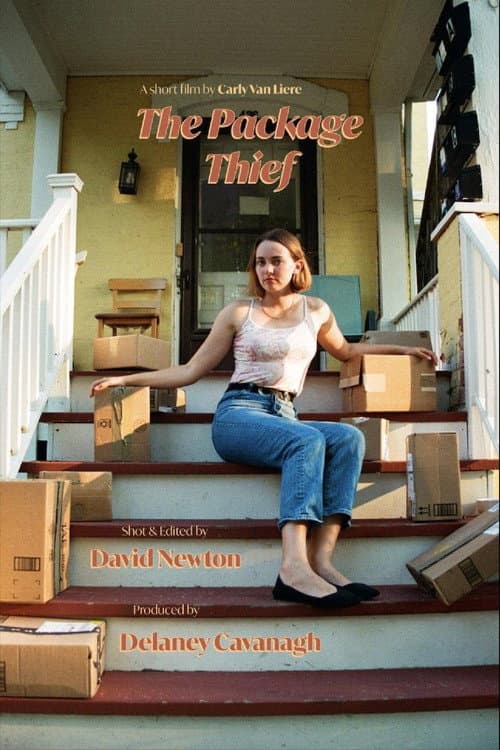 Постер: The Package Thief