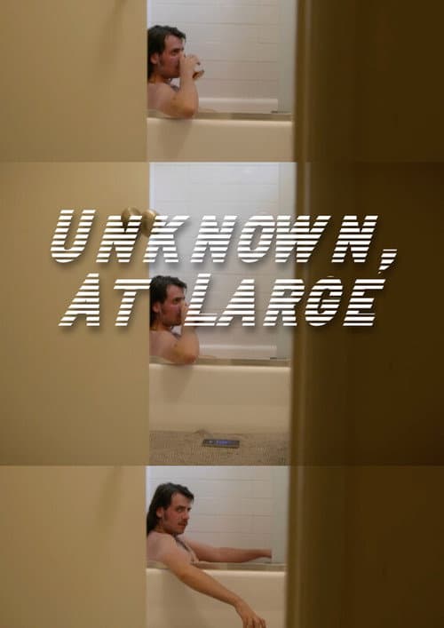 Постер: Unknown, At Large