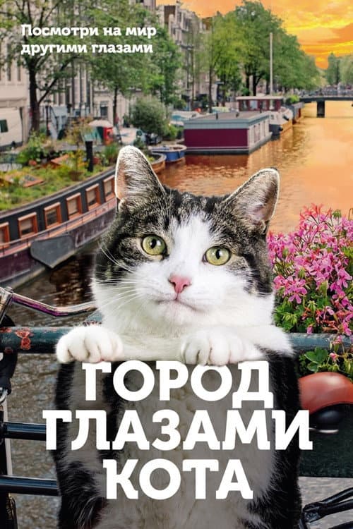 Постер 2
