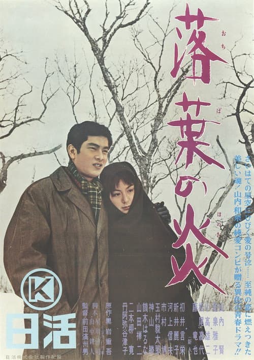 Постер: 落葉の炎