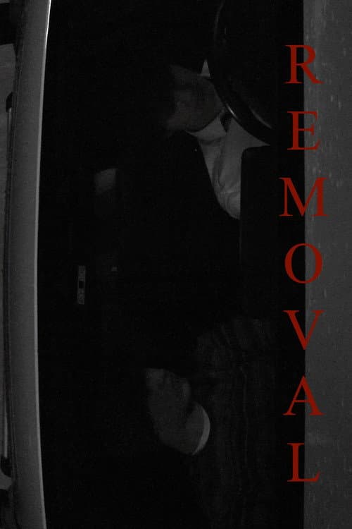Постер: Removal