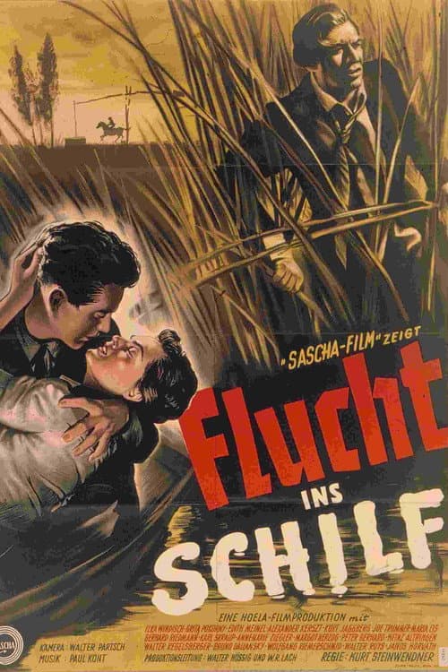 Постер: Flucht ins Schilf