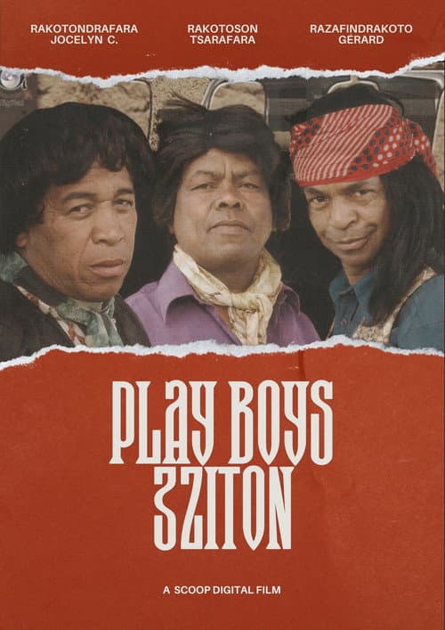 Постер: Play Boys 3zition