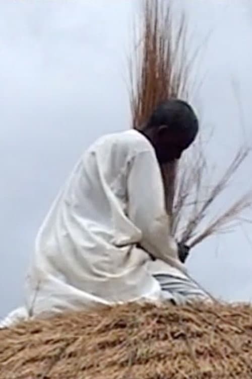 Постер: Diyam Wala: Water and Life in Kalfou Cameroon
