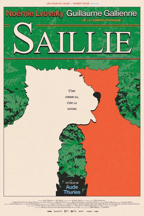 Постер: Saillie