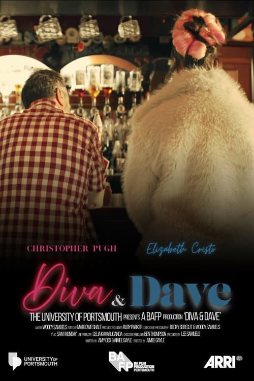 Постер: Diva and Dave
