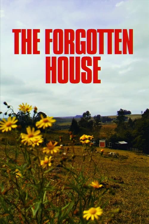 Постер: The Forgotten House