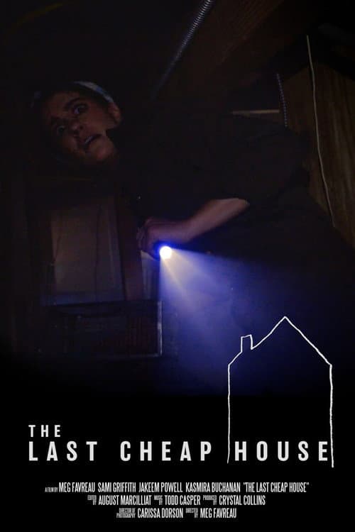 Постер: The Last Cheap House