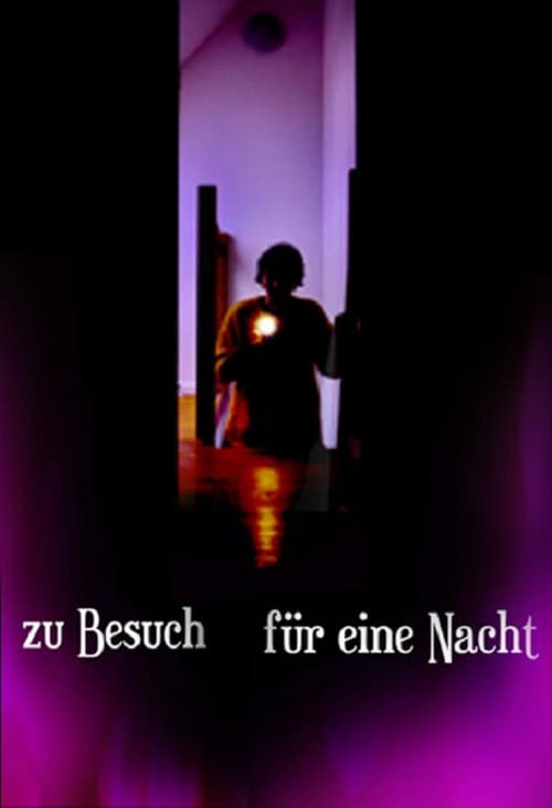 Постер: Zu Besuch für eine Nacht