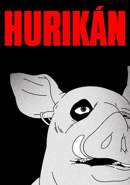 Постер: Hurikán