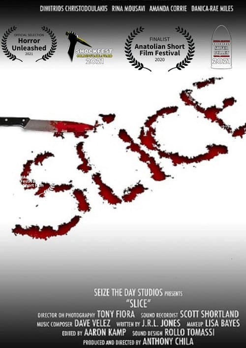 Постер: Slice
