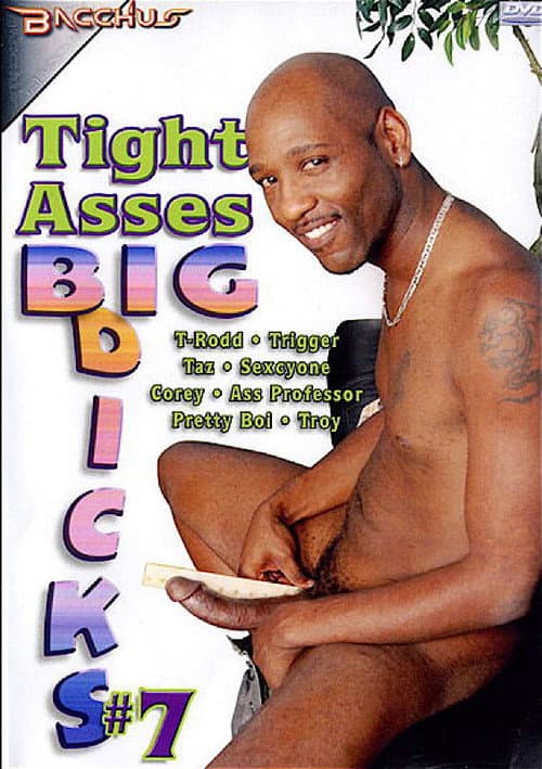 Постер: Tight Asses Big Dicks 7