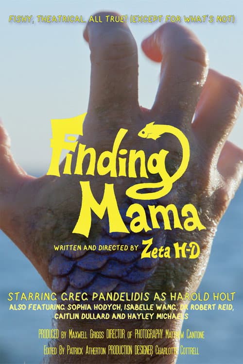 Постер: Finding Mama