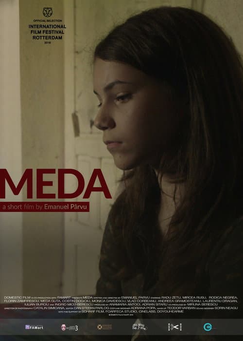 Постер: Meda