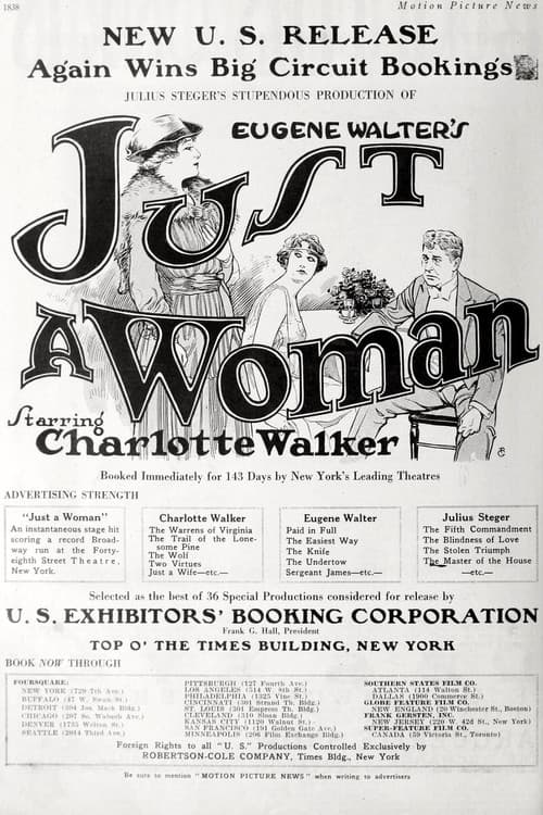 Постер: Just a Woman
