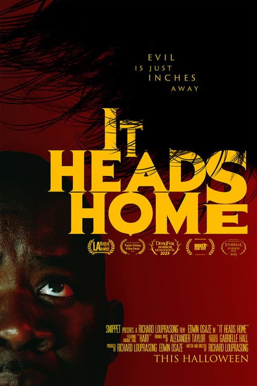 Постер: It Heads Home