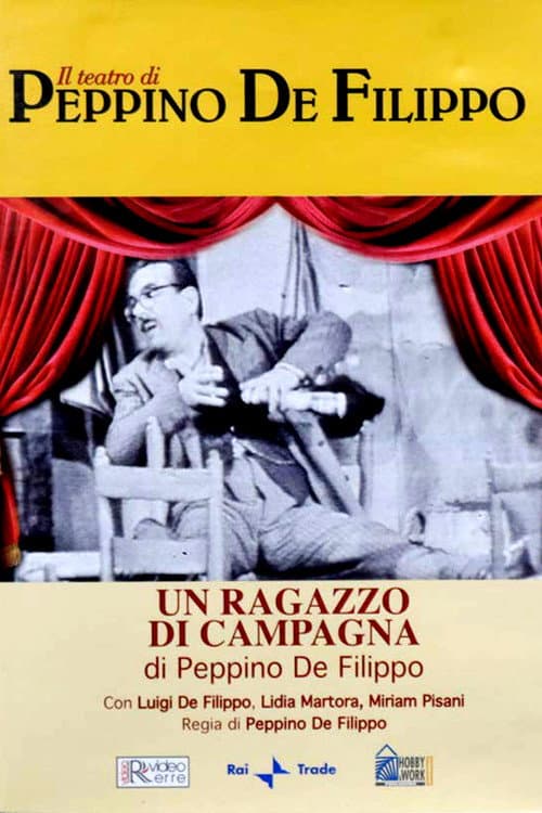 Постер: Un ragazzo di campagna