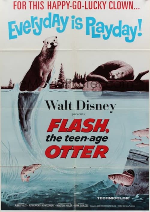Постер: Flash, The Teenage Otter