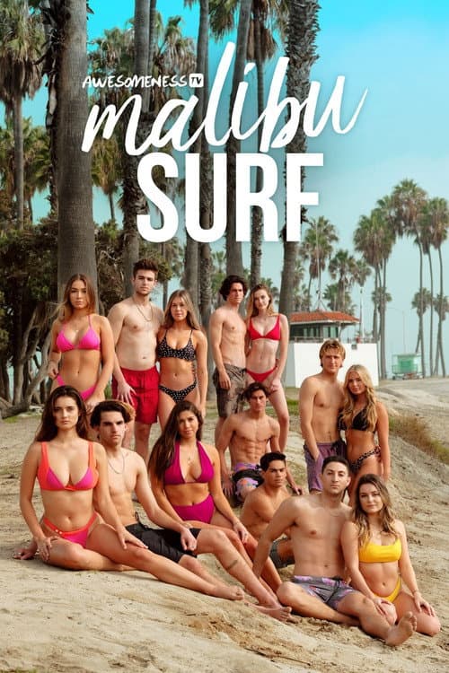 Постер: Malibu Surf