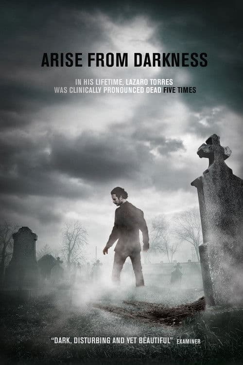 Постер: Arise from Darkness