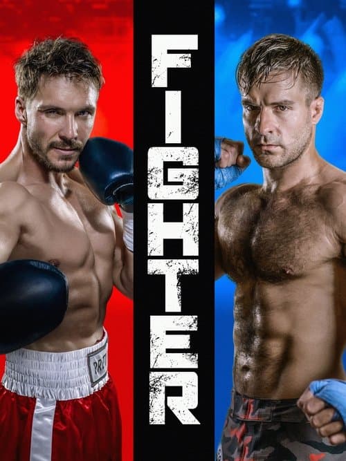 Постер: Fighter