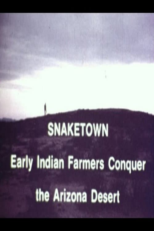 Постер: Snaketown- Early Indian Farmers Conquer the Arizona Desert